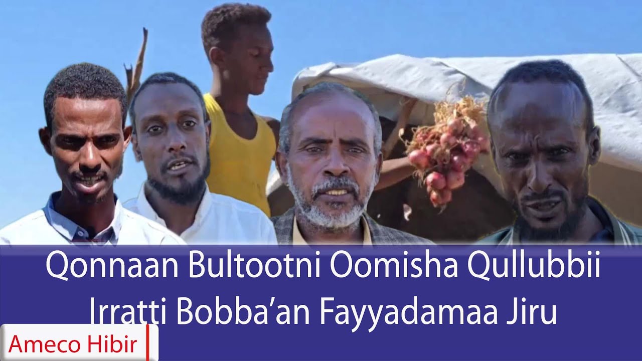 AMECO HIBIR: Qonnaan Bultootni Oomisha Qullubbii Irratti Bobba'an Fayyadamaa Jiru 15/05/2018