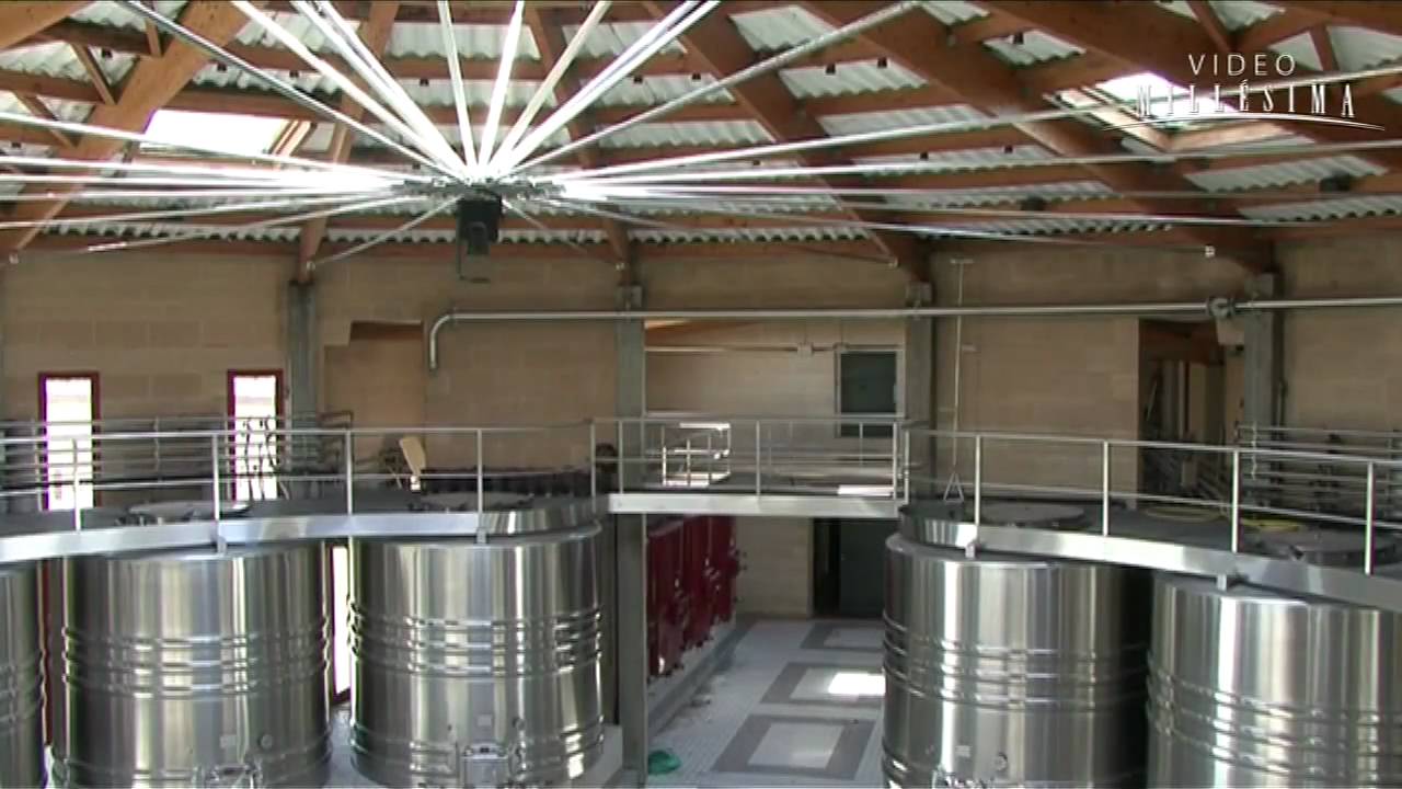 Domaine de Chevalier 's Wines - Bordeaux - Millesima