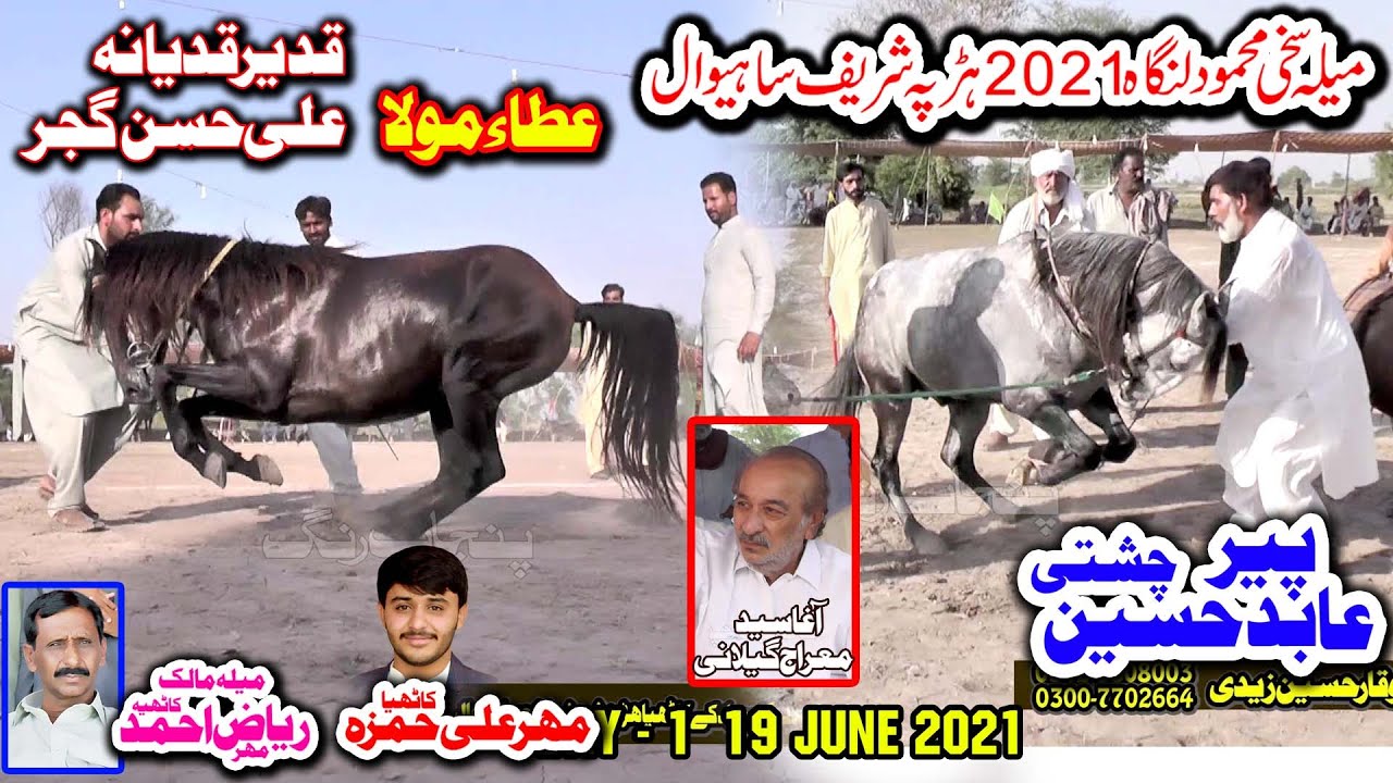 Ata e Mola ll Horse Dance ll Darbar Sakhi Mehmood Langah Harappa Shaiwal 05 ll 19/20 june 2021