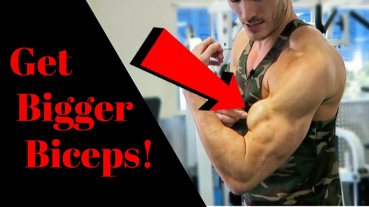 How To Get Bigger Biceps (Hit Both Heads) | V SHRED