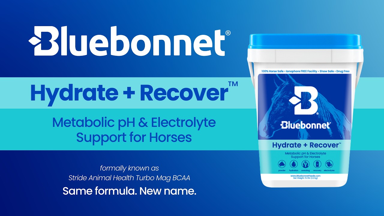 Turbo Mag BCAA by Stride Animal Health