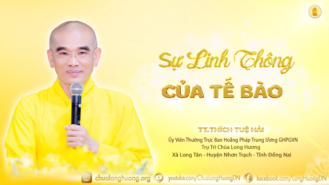 Sự Linh Thông Của Tế Bào  - TT. Thích Tuệ Hải  -  Chùa Long Hương