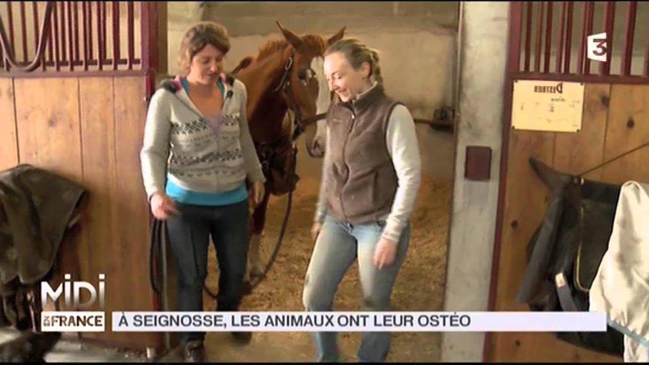 ANIMAUX : À Seignosse, les animaux ont leur ostéo