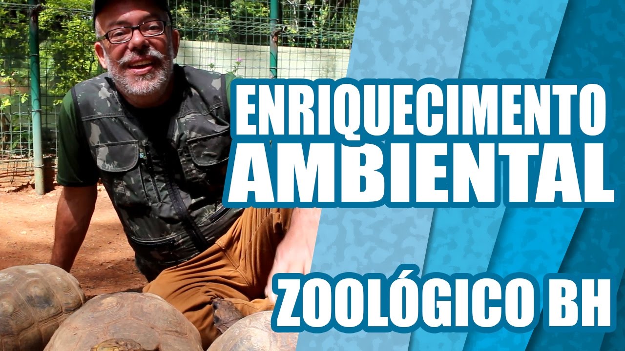 Enriquecimento Ambiental | Zoológico BH