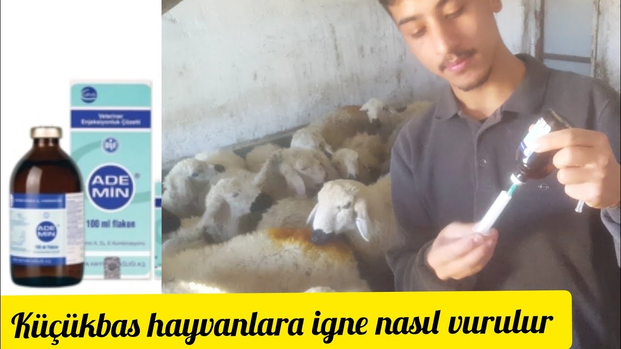 Ademin Nedir? / Ne İ&ccedil;in Kullanılır? / Nasıl Uygulanılır?