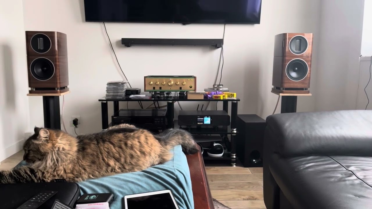 Test atoll st300 signature vs denon dcd 3520 , Leben cs600x , wharfedale Elysian 1