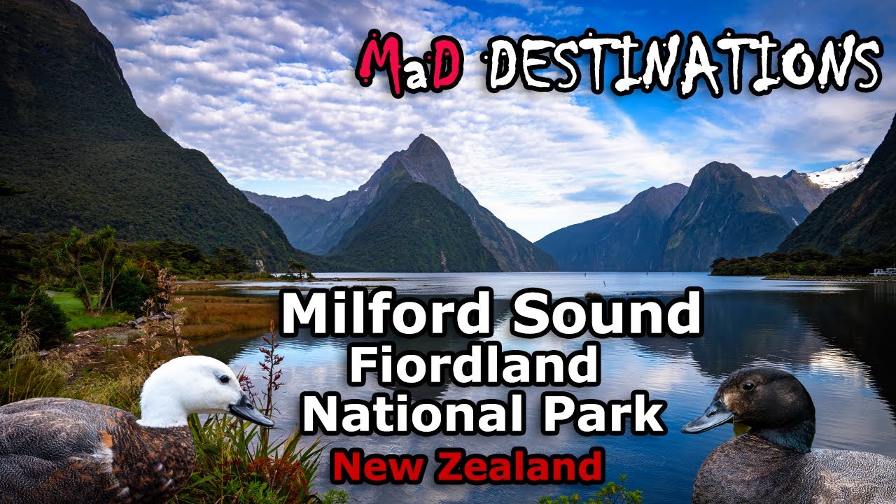 Milford sound