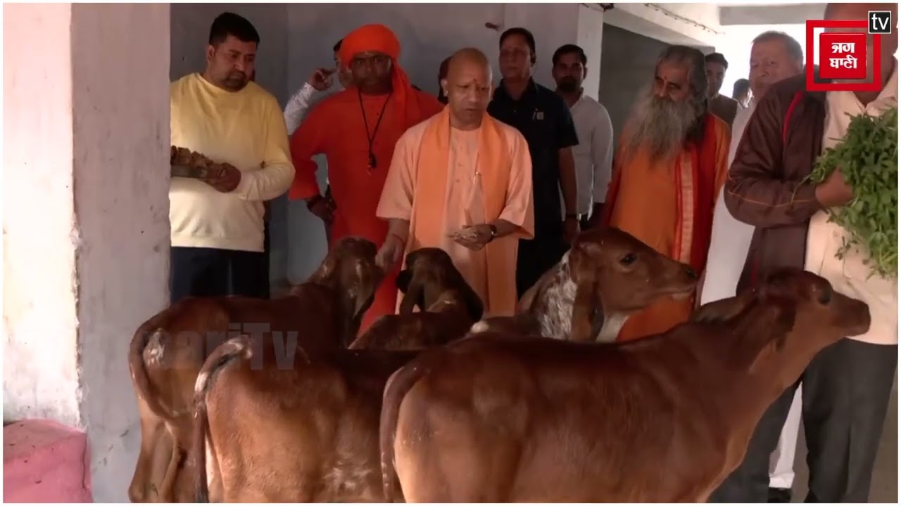 Balrampur: Devipatan में CM Yogi, Mandir में CM Yogi ने की पूजा अर्चना