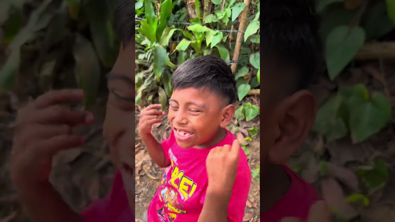 Guatemaltecos iniciando un nuevo año vean a batería y los Cuatazines 😱