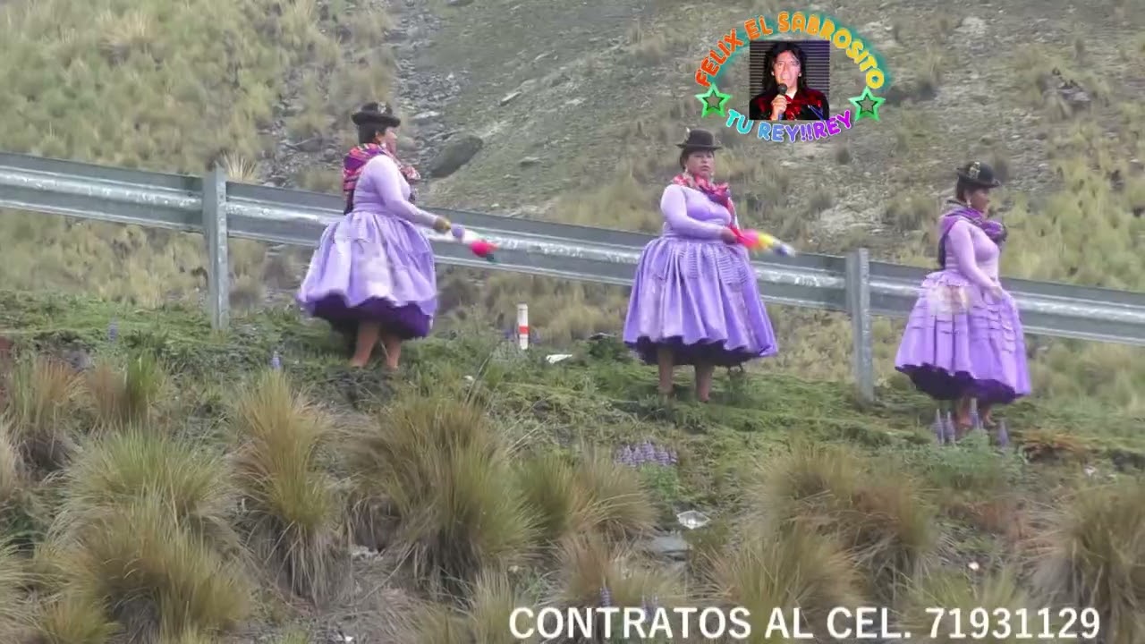 internacional Mí Nueva Proyección Tema: Layk,a phichitanka L.M. Félix Tumiri G. 2022