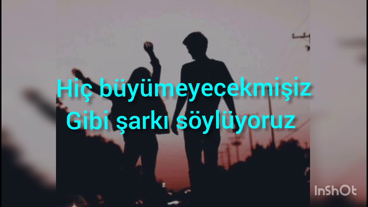 Avril Lavigne - Here's to Never Growing Up (Türkçe Çeviri )