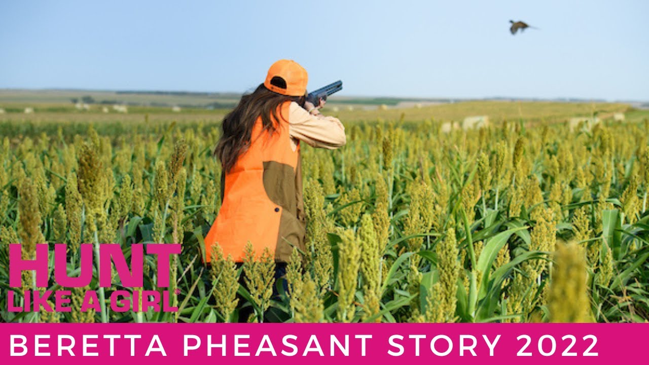 Beretta Pheasant 2022 Story
