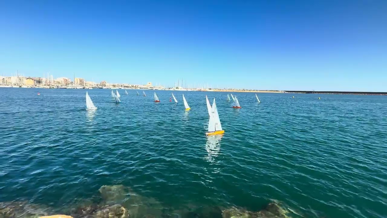 Copa de España 1º Grupo Oro