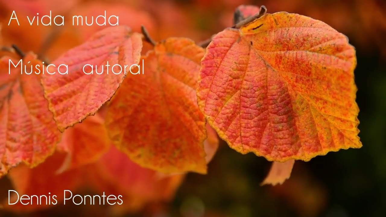 A vida muda (Remix) Dennis Ponntes 