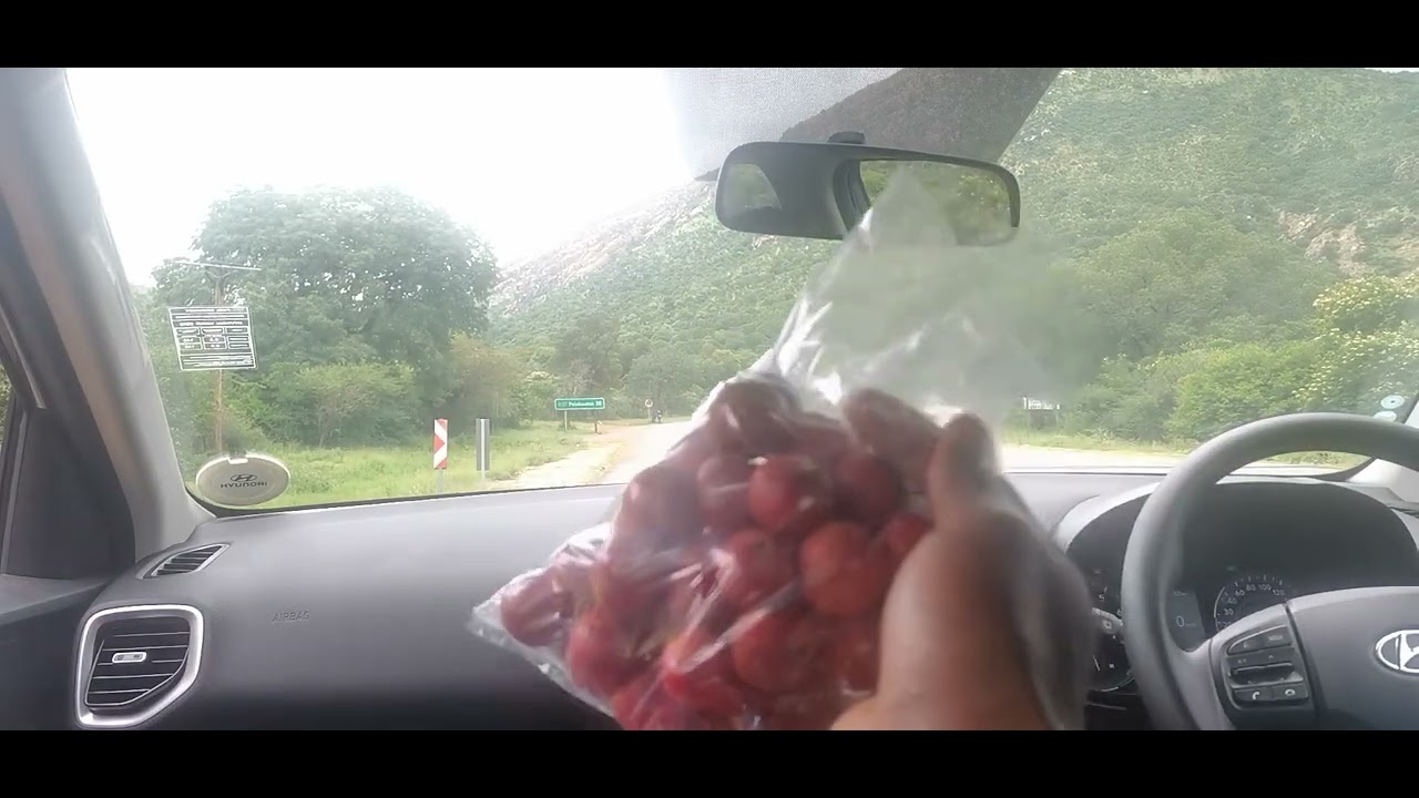 welcome to Chuenespoort Drigo's village 🇿🇦