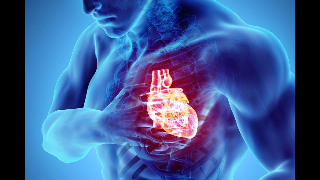 UN PODCAST SOBRE TERAPIA CELULAR Y LAS ENFERMEDADES DEL CORAZÒN