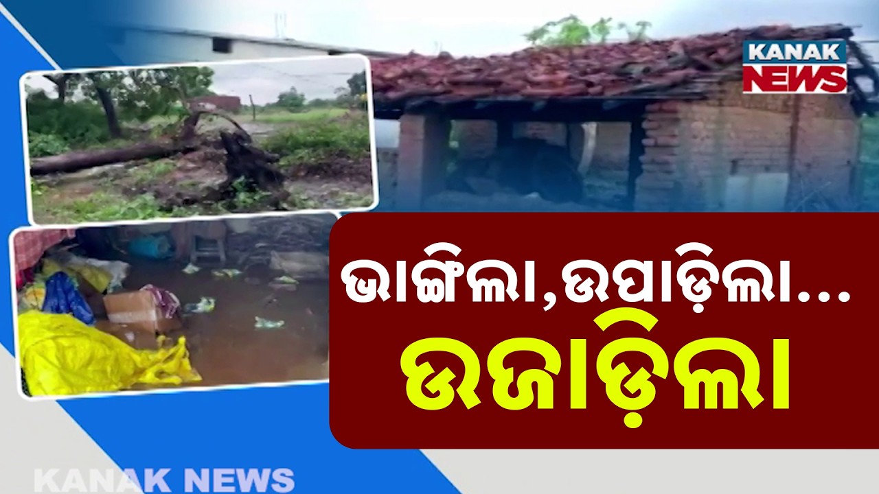Weather Alert! Sudden Storm After Heavy Rain Destroys Homes and Uproots Trees in Bargarh