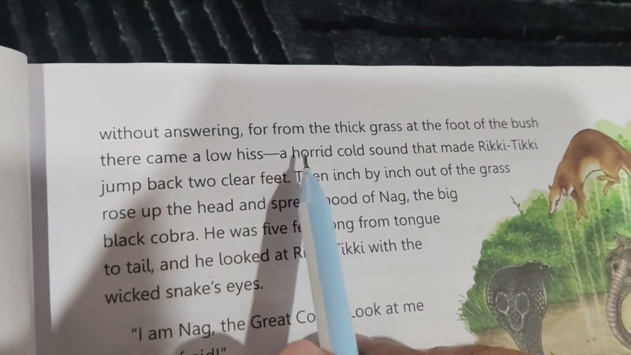 Magic carpet book class 7 chapter number 2 Rikki tikki Tavi