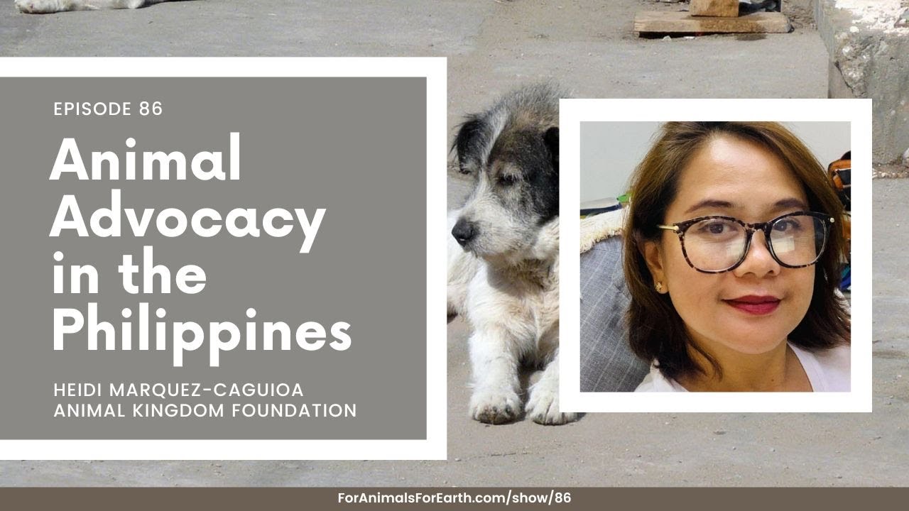 Animal Welfare in the Philippines with Animal Kingdom Foundation's Heidi Marquez-Caguioa