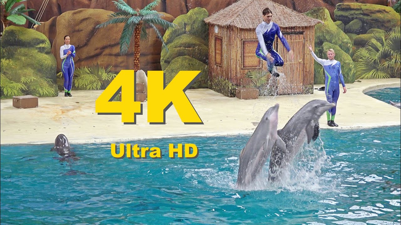 4K(Ultra HD) Boudewijn Seapark Dolfijnenshow