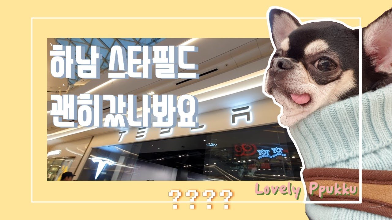하남스타필드 '반려견만' 데려가세요! (feat.테슬라)#하남스타필드 #테슬라 #뮤니쿤트 #몰리스펫샵 #애견동반 #에베레스트