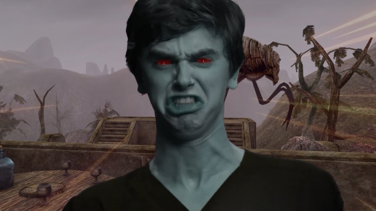 Dunmer hate everyone in Morrowind