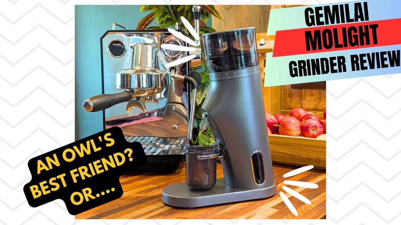 Worth It? Gemilai Molight G9010B Coffee Grinder Detailed Review