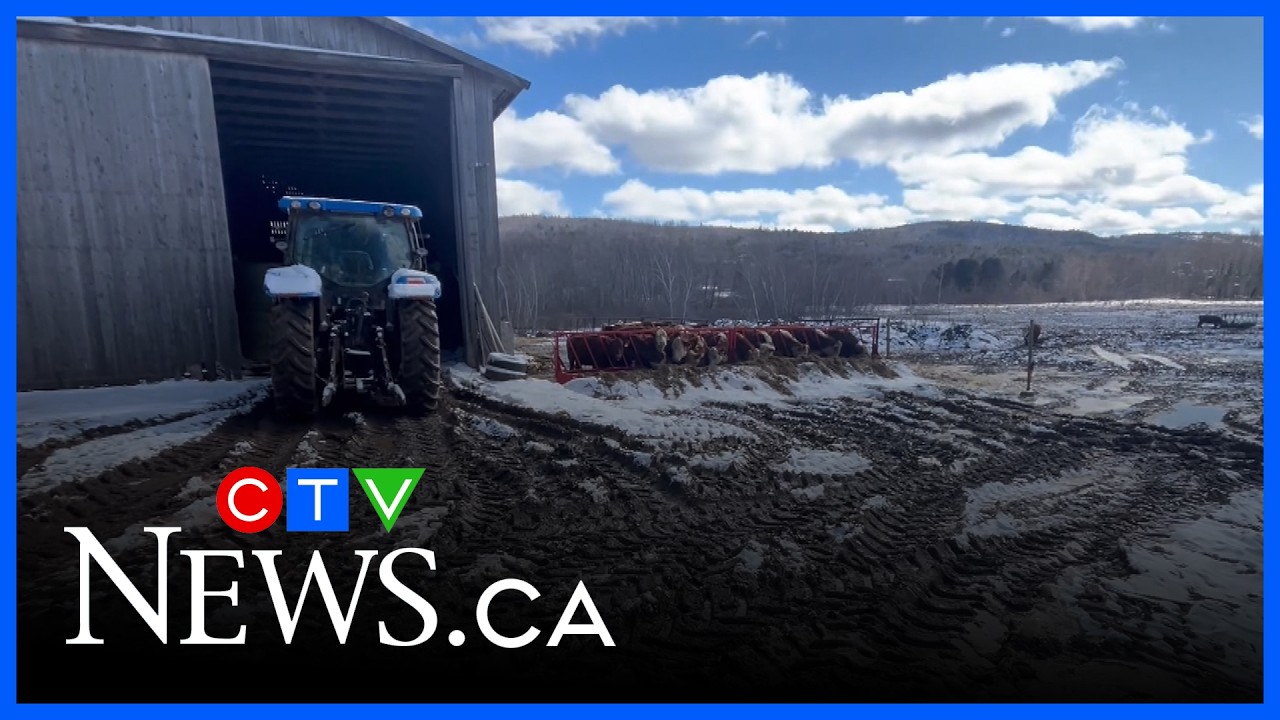 Maritime farmers worried over high costs
