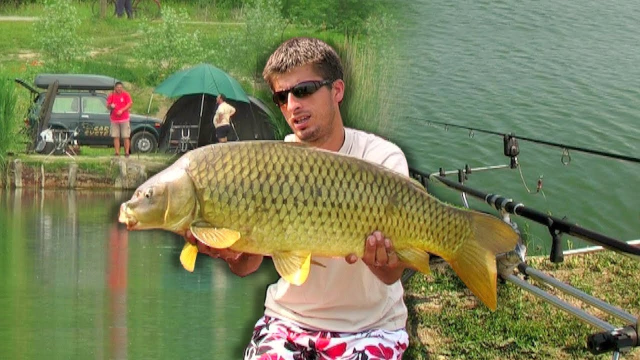 Pecanje šarana - Vojvodina - Jezero Čepel | Dubinsko pecanje | Carp fishing