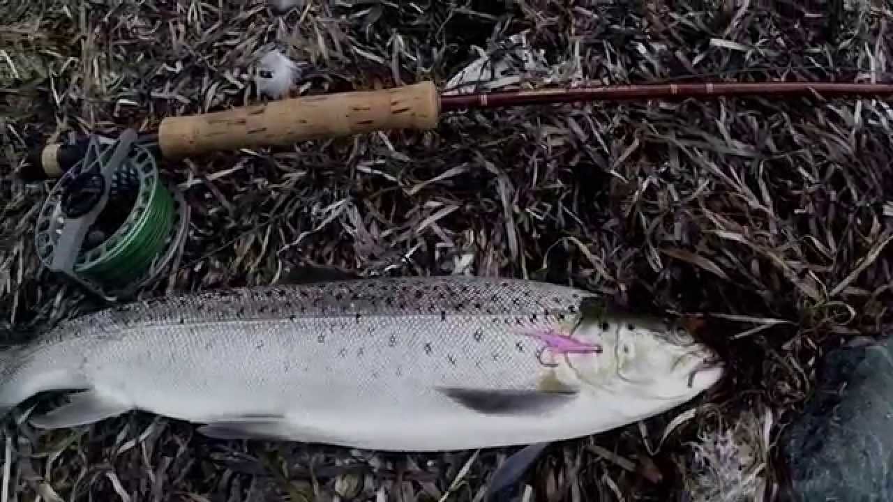 SEATROUT OPEN AUTUMN