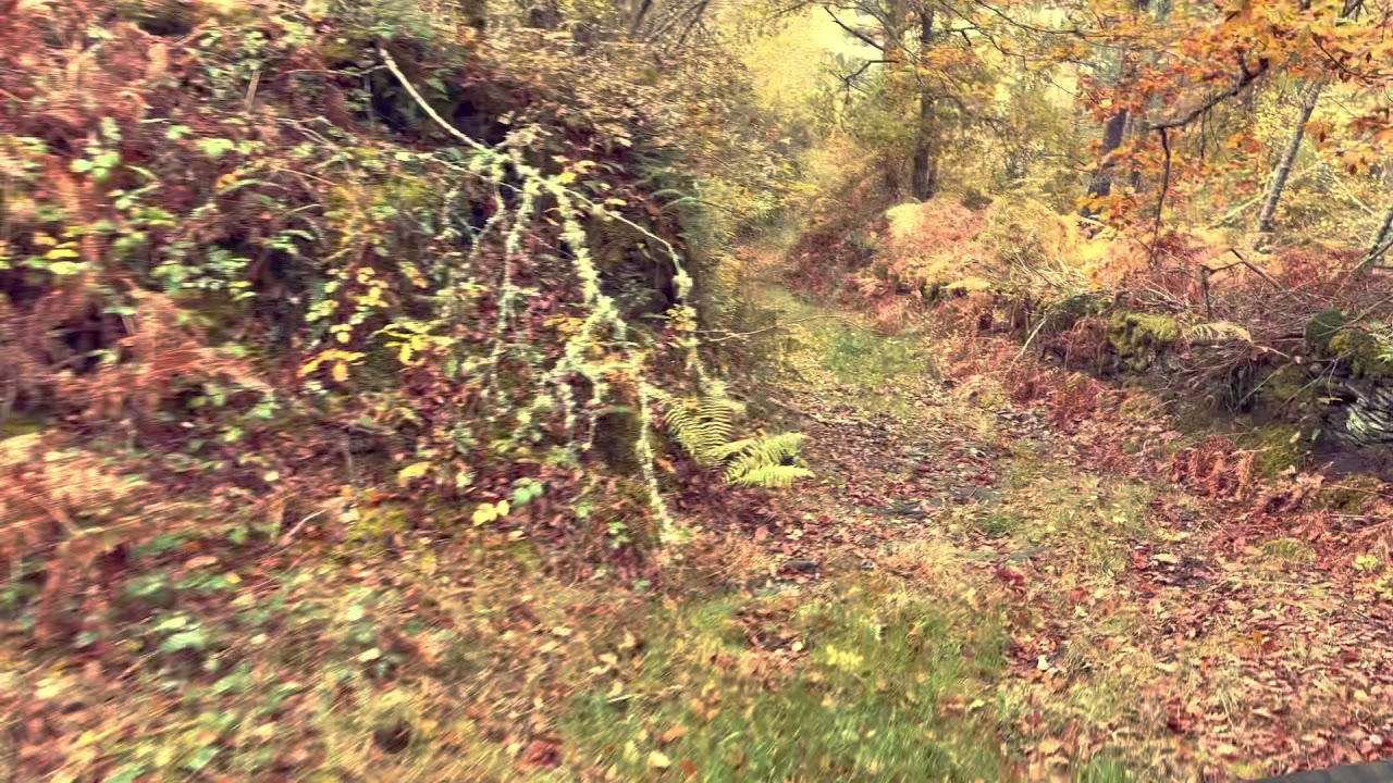 Caminos de Grandas de Salime, Asturias