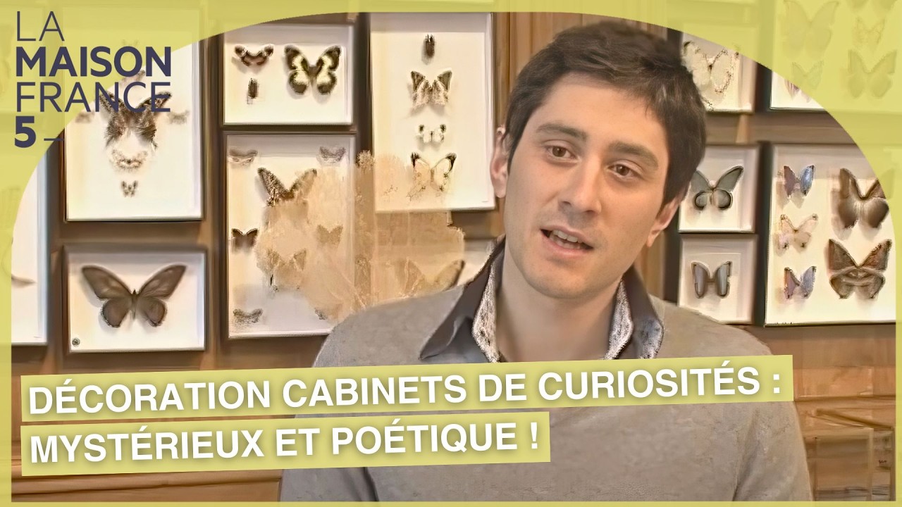 Décoration de cabinets de curiosités : Mystérieux et poétique ! #LMF5