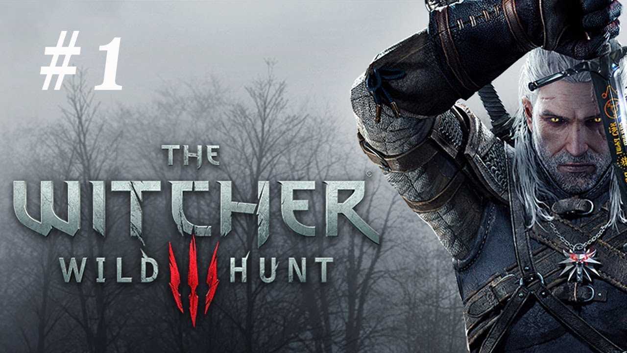 The Witcher 3 Wild Hunt Walkthrough - No Commentary Gameplay Part 1