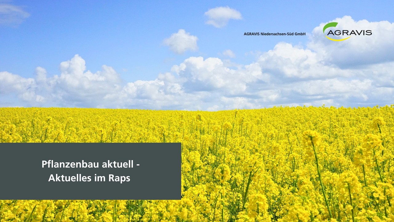 Pflanzenbau aktuell - AGRAVIS Niedersachsen-S&uuml;d GmbH