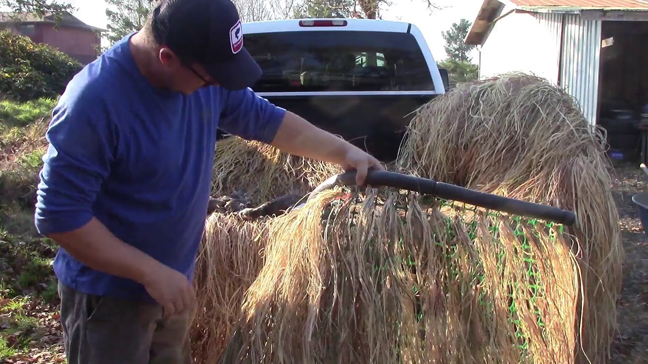 DIY Duck Blind Concealment & Scouting for Birds