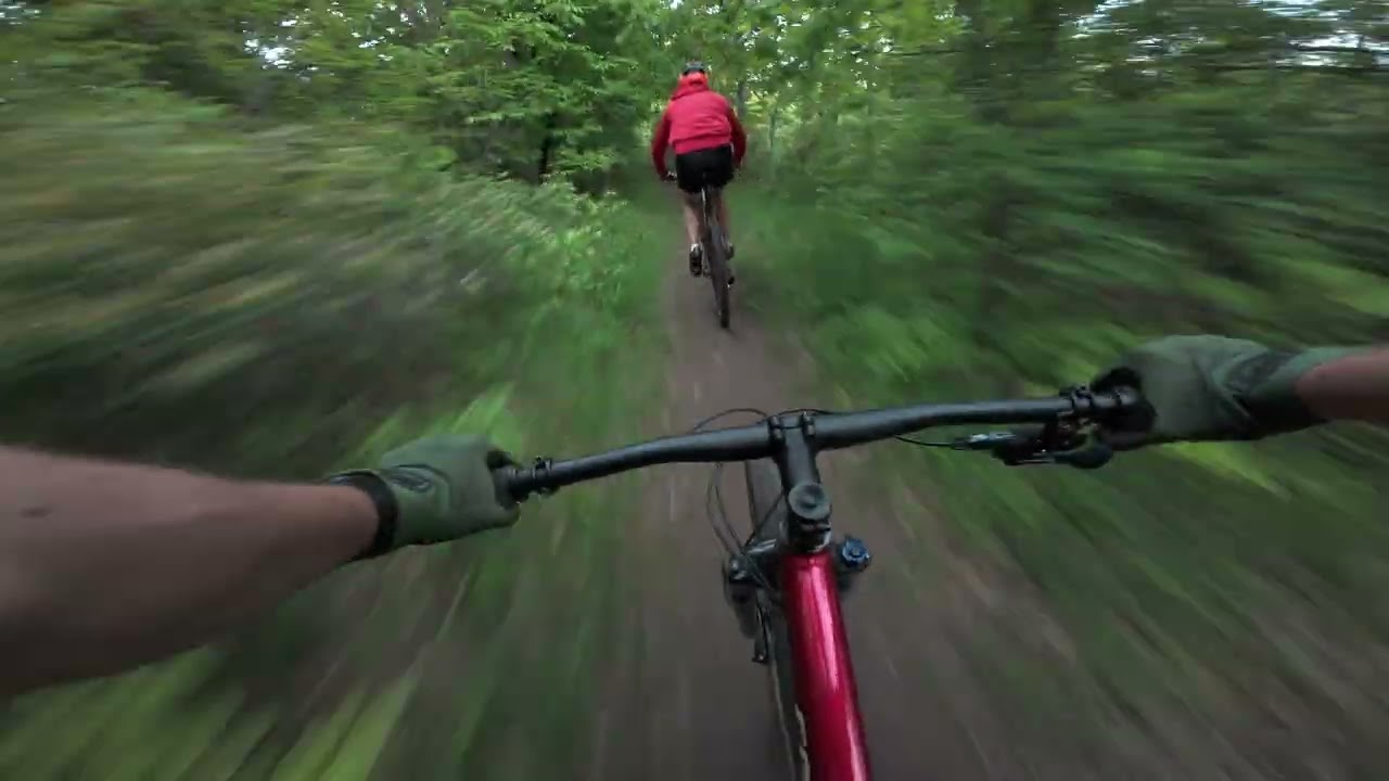 Local Laps w  David