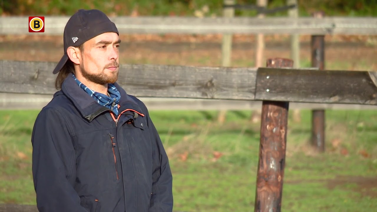 Paardencoaching GGzE blijkt succesverhaal