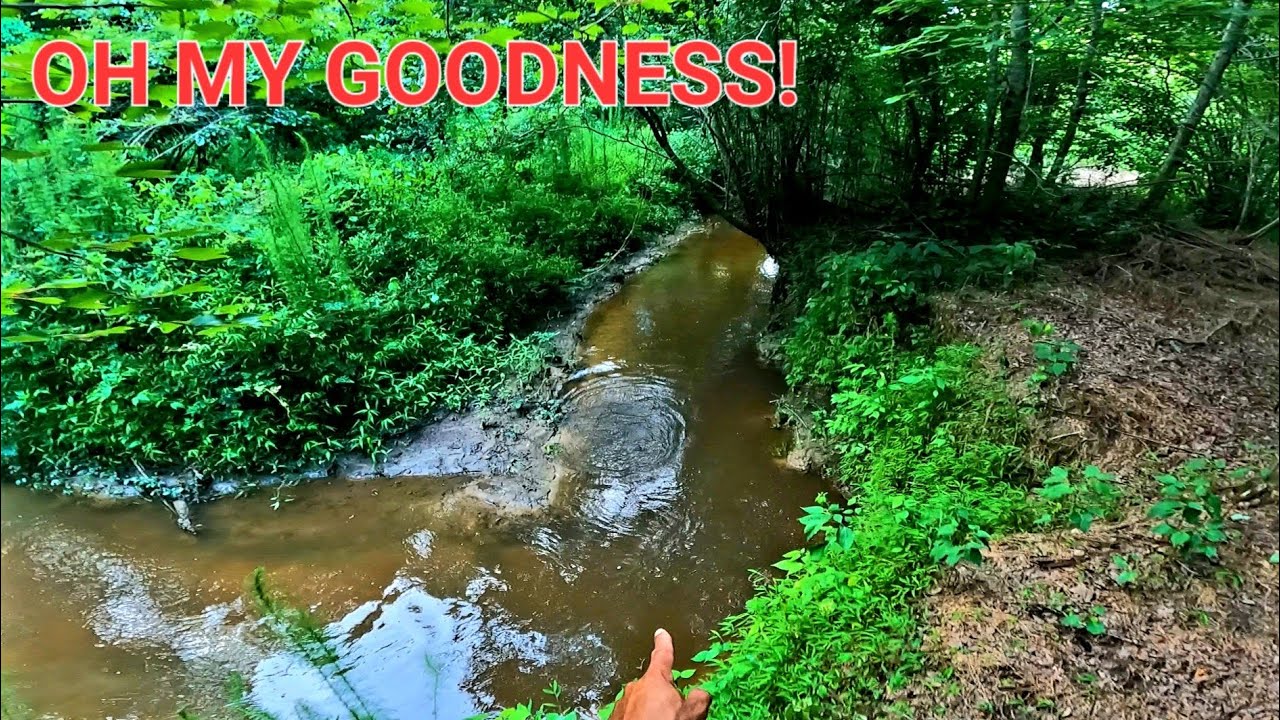 Heard A Weird Noise Then Saw This! || BEAVER DAM REMOVAL In Beaver Dam Creek! S3 EP. 6!