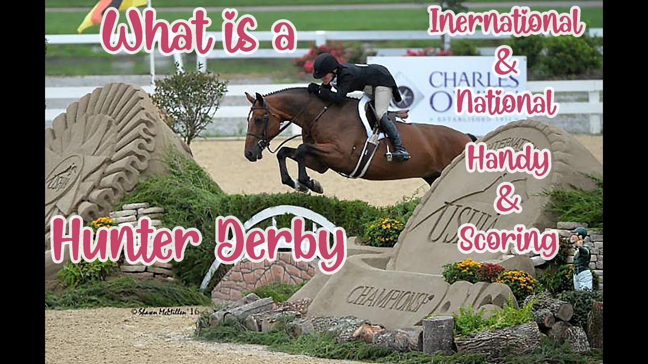 Top 5 USHJA Hunter Derby Jumps. What is a Hunter Derby?