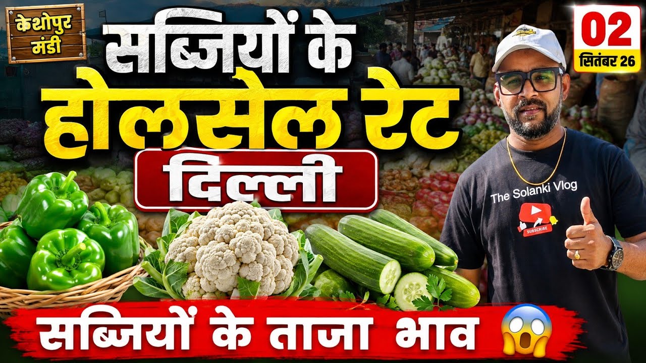 सब्जियों के भाव दिल्ली । 02 Sep. 2026 | Wholsale vegetable Market Keshopur Mandi Delhi #vegetables