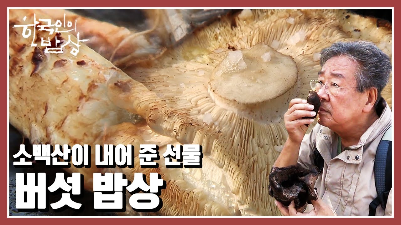 [한국인의밥상★풀버전] 능이, 송이, 까치버섯. 가을 소백산 자락길 골골마다 스며든 버섯 향 가득한 밥상을 찾아간다 (KBS 20171012 방송)
