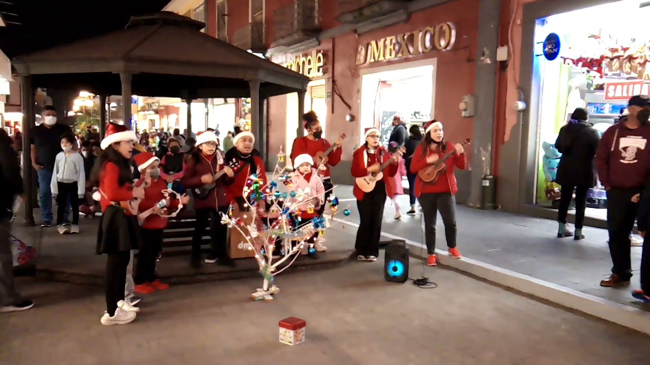la rama tradicional  en Veracruz Orizaba #orizabapueblomagico