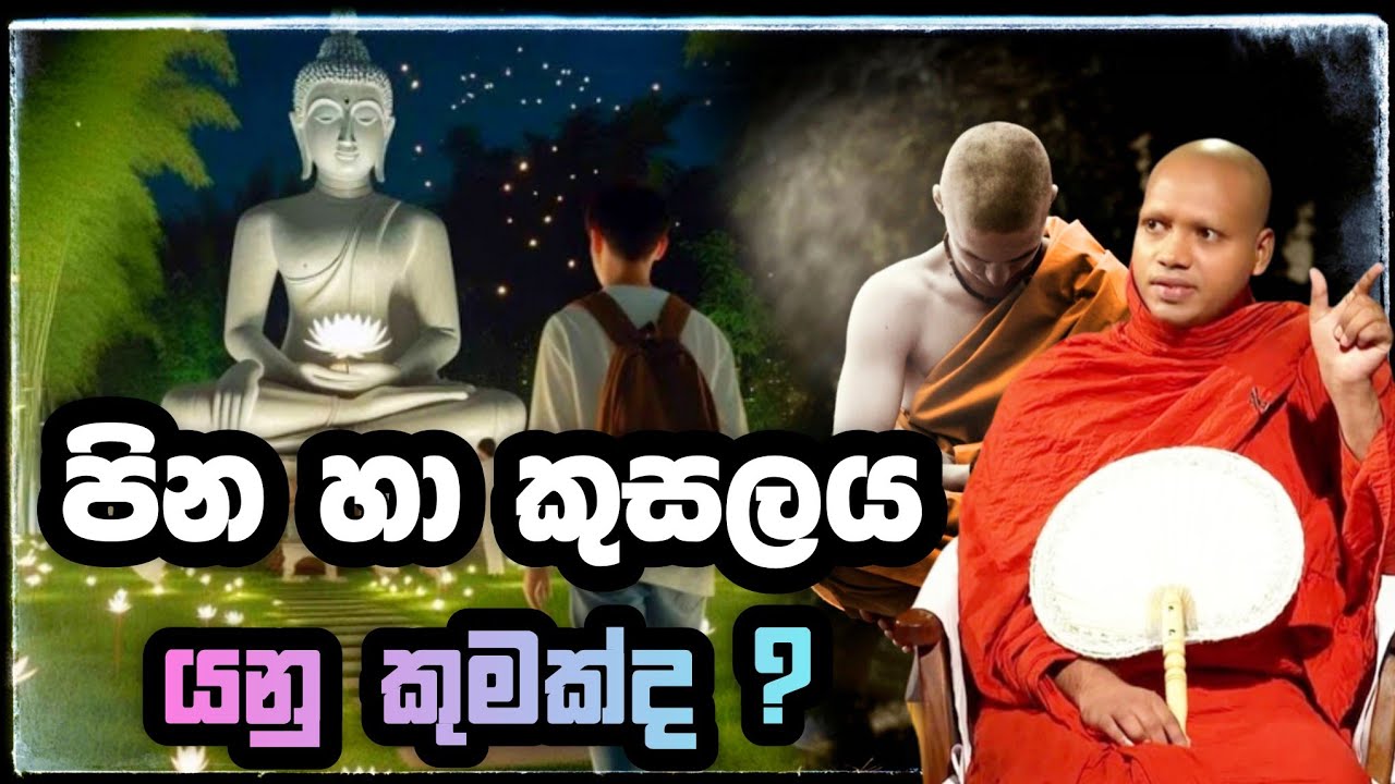 පින හා කුසලය යනු කුමක්ද | Hasalaka Seelawimala Thero | හසලක සීලවිමල හිමි | bana 2025