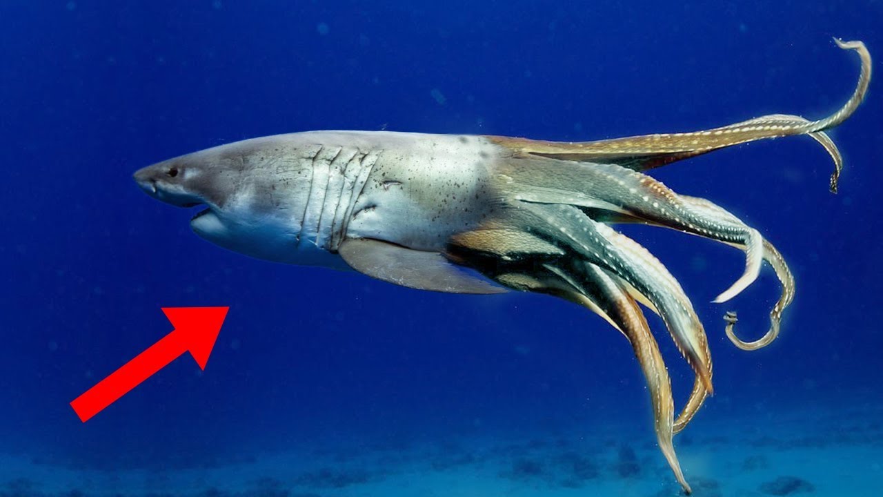 Most MYSTERIOUS Facts About The Bahamas!