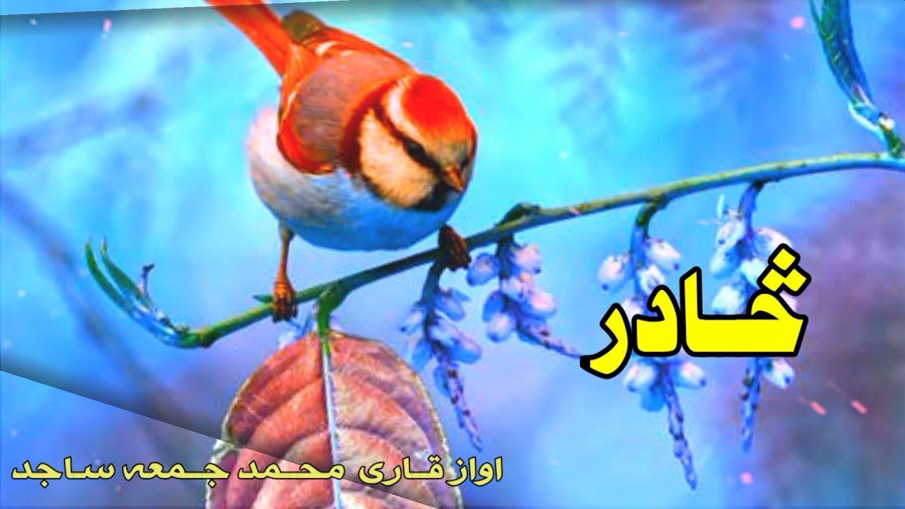 اخ تر گوتو یی چادر لاندی دہ .. اواز قاری محمد جمعہ ساجد