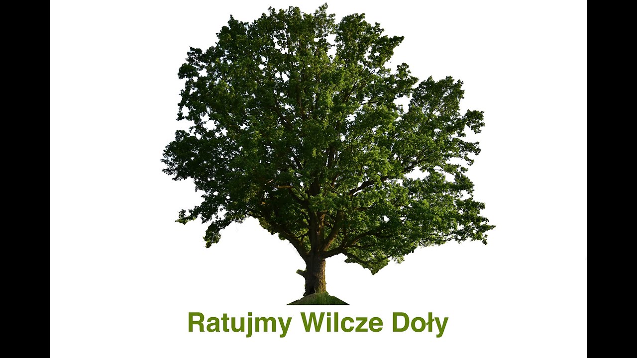 Wilcze Doły - Teledysk