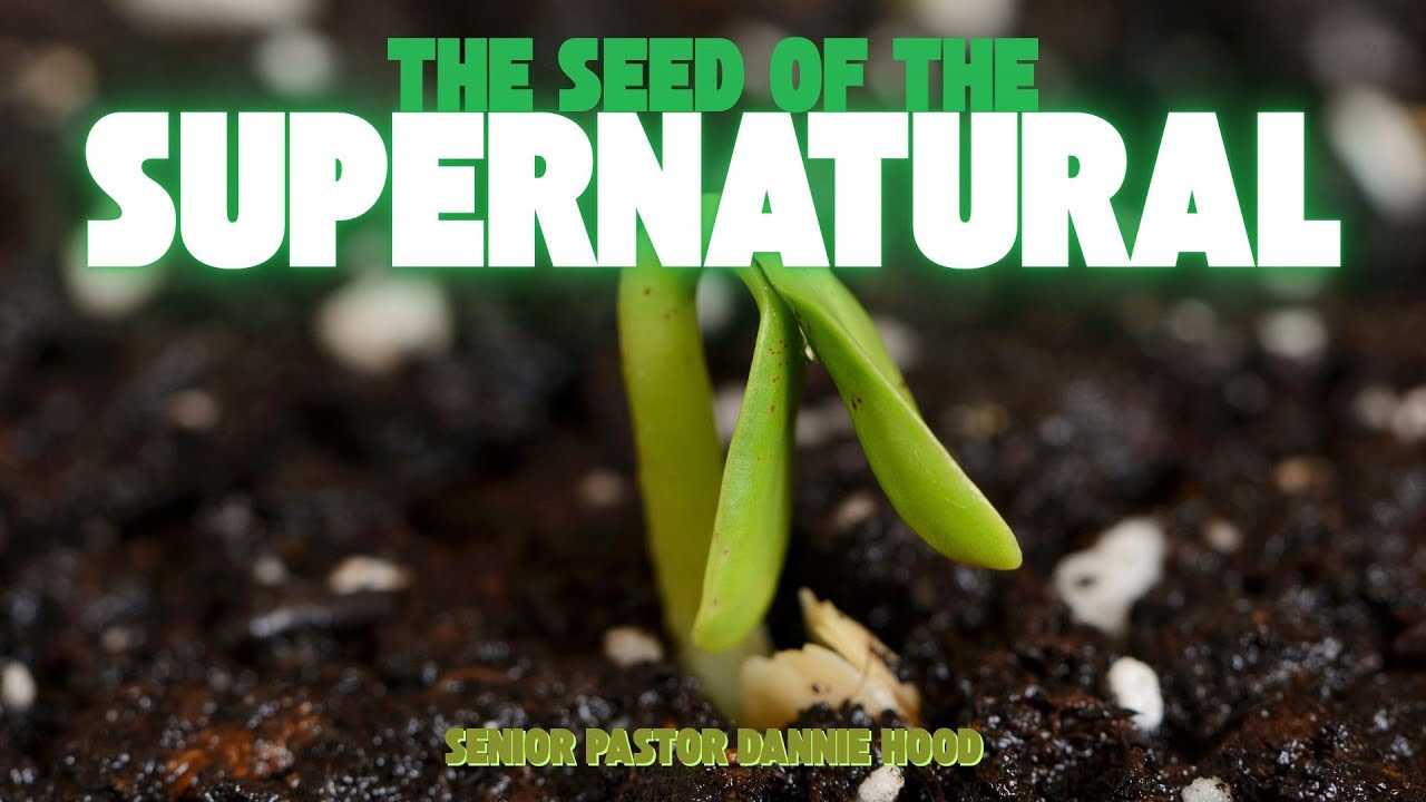 The Seed of the Supernatural | Senior Pastor Dannie Hood | 02.08.2026