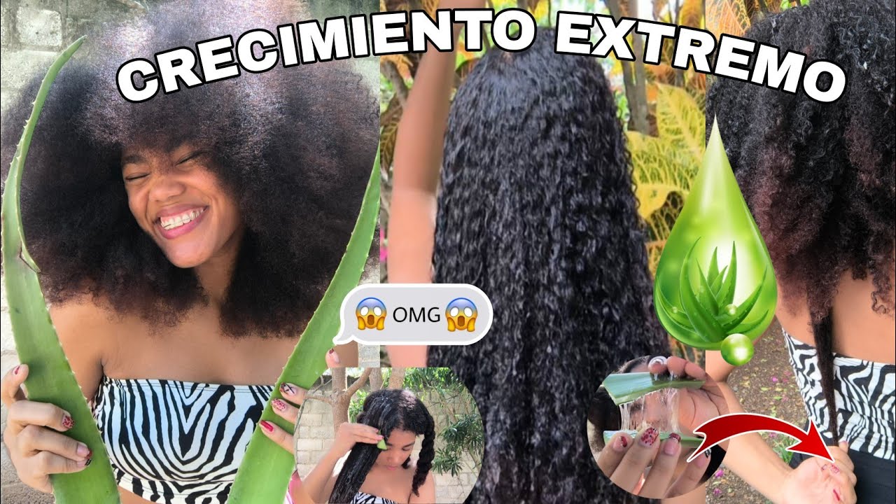 SÁBILA PARA EL CRECIMIENTO RÁPIDO DEL CABELLO|Rachell Santos