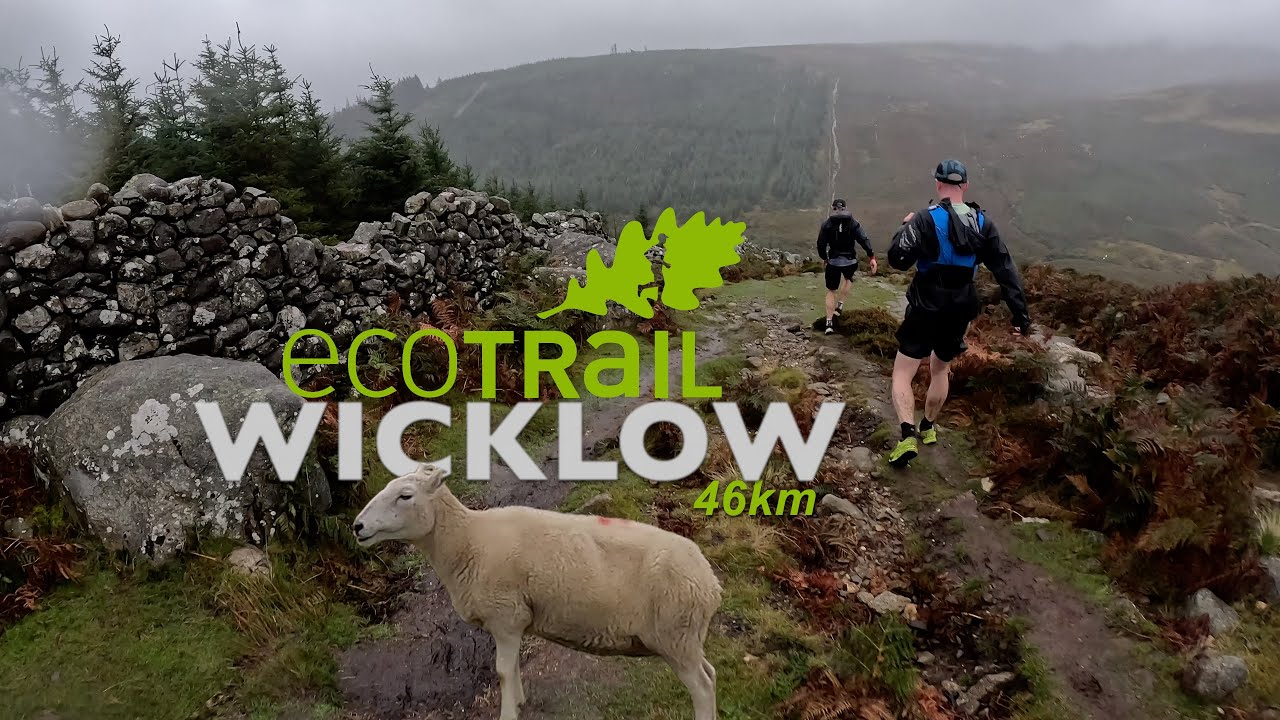 ECOTRAIL WICKLOW - IRELAND - RAINY DAY!!!