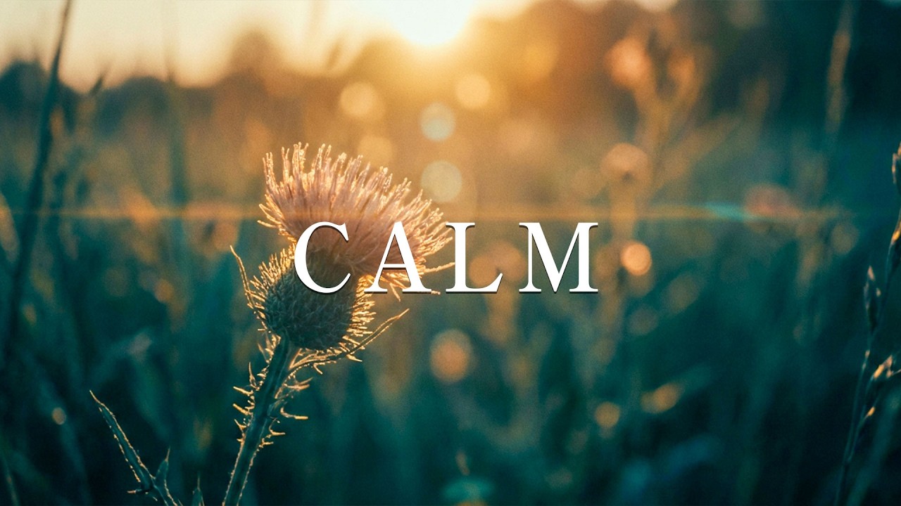 CALM – Peaceful Guitar for Stress Relief, work and stud